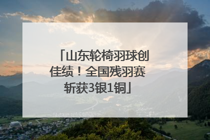山东轮椅羽球创佳绩！全国残羽赛斩获3银1铜