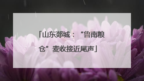 山东郯城：“鲁南粮仓”麦收接近尾声