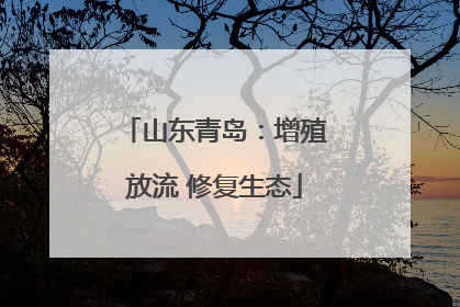 山东青岛：增殖放流 修复生态