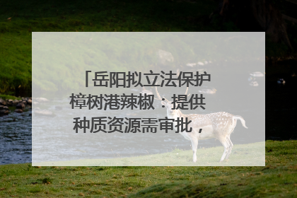 岳阳拟立法保护樟树港辣椒：提供种质资源需审批，违规最高罚5万