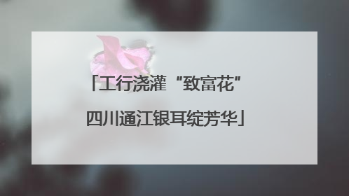 工行浇灌“致富花” 四川通江银耳绽芳华