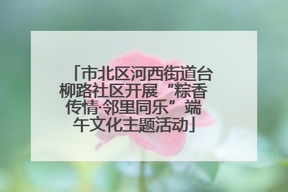 市北区河西街道台柳路社区开展“粽香传情·邻里同乐”端午文化主题活动