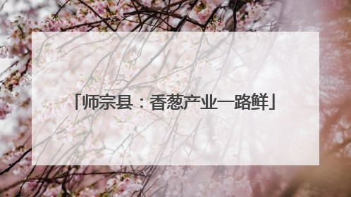 师宗县：香葱产业一路鲜
