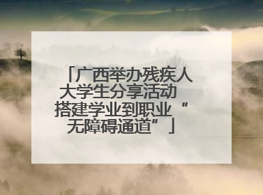 广西举办残疾人大学生分享活动 搭建学业到职业“无障碍通道”