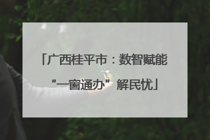 广西桂平市：数智赋能“一窗通办”解民忧