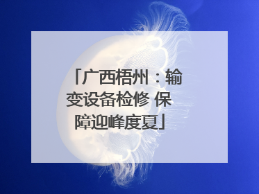 广西梧州：输变设备检修 保障迎峰度夏