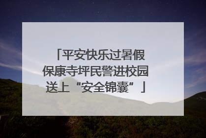 平安快乐过暑假 保康寺坪民警进校园送上“安全锦囊”