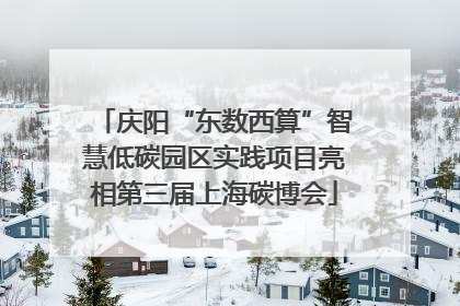庆阳“东数西算”智慧低碳园区实践项目亮相第三届上海碳博会