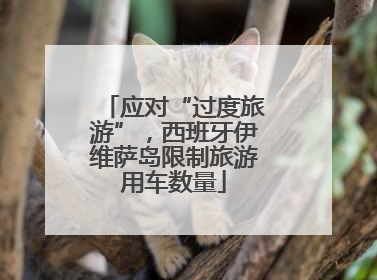 应对“过度旅游”，西班牙伊维萨岛限制旅游用车数量