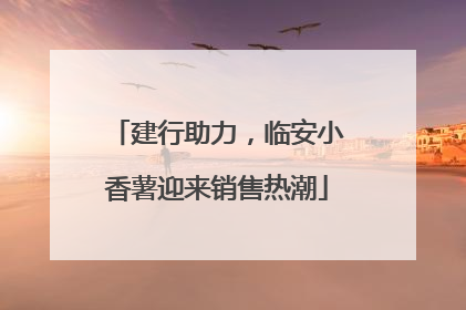建行助力，临安小香薯迎来销售热潮