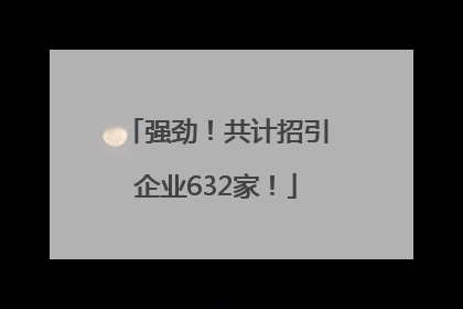 强劲！共计招引企业632家！