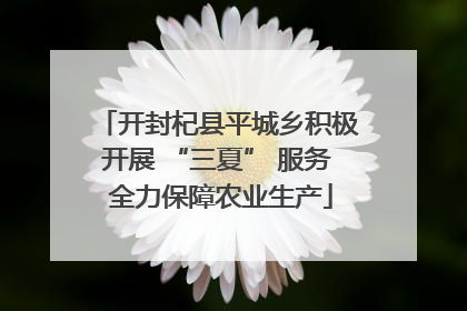 开封杞县平城乡积极开展 “三夏” 服务 全力保障农业生产