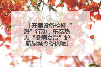开展设备检修“热”行动，东泰热力“冬病夏治”护航泉城今冬供暖