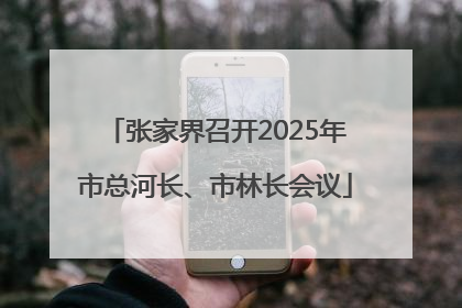 张家界召开2025年市总河长、市林长会议