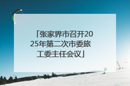 张家界市召开2025年第二次市委旅工委主任会议