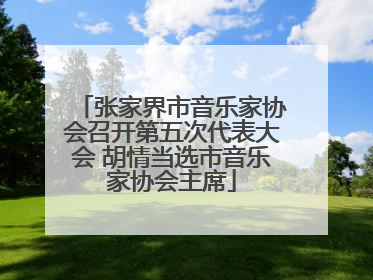 张家界市音乐家协会召开第五次代表大会 胡情当选市音乐家协会主席