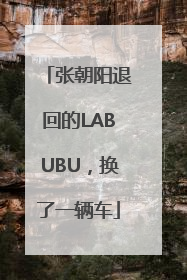 张朝阳退回的LABUBU，换了一辆车