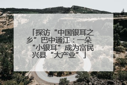 探访“中国银耳之乡”巴中通江：一朵“小银耳”成为富民兴县“大产业”
