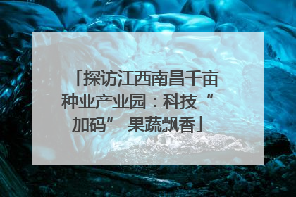 探访江西南昌千亩种业产业园：科技“加码” 果蔬飘香