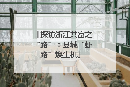 探访浙江共富之“路”：县城“虾路”焕生机