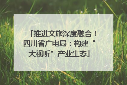 推进文旅深度融合！四川省广电局：构建“大视听”产业生态