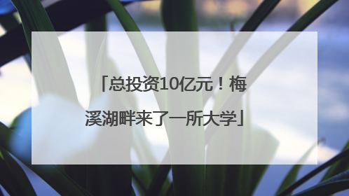 总投资10亿元！梅溪湖畔来了一所大学