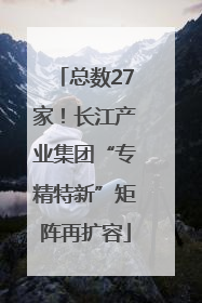 总数27家！长江产业集团“专精特新”矩阵再扩容