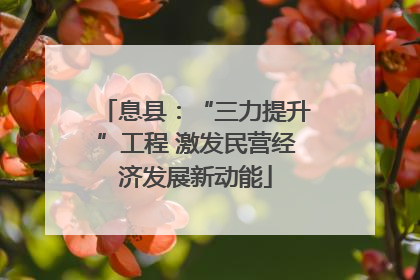 息县：“三力提升”工程 激发民营经济发展新动能
