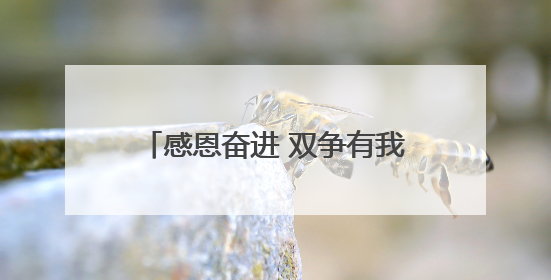 感恩奋进 双争有我·致敬自强模范丨残疾人运动员赵玉萍：从两米视界走向世界舞台
