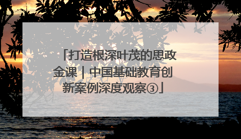 打造根深叶茂的思政金课｜中国基础教育创新案例深度观察③