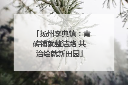 扬州李典镇：青砖铺就整洁路 共治绘就新田园
