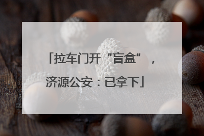 拉车门开“盲盒”，济源公安：已拿下