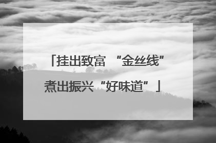 挂出致富 “金丝线” 煮出振兴“好味道”