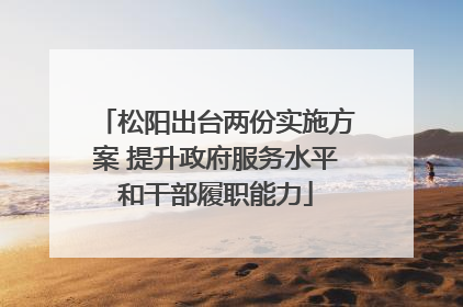 松阳出台两份实施方案 提升政府服务水平和干部履职能力