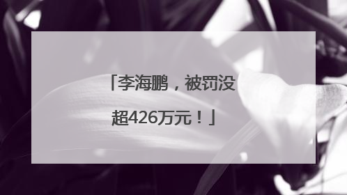 李海鹏，被罚没超426万元！