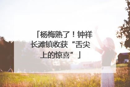 杨梅熟了！钟祥长滩镇收获“舌尖上的惊喜”