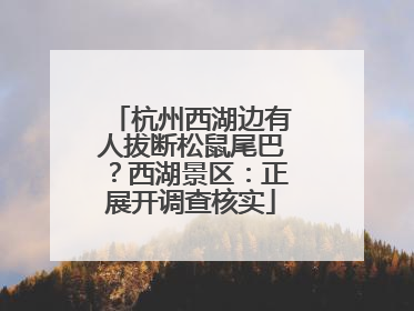 杭州西湖边有人拔断松鼠尾巴？西湖景区：正展开调查核实