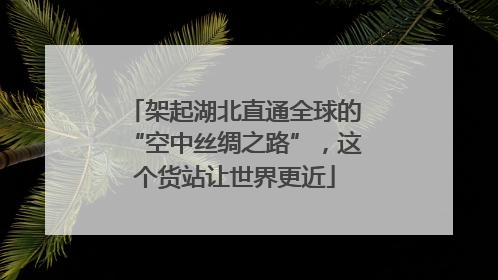 架起湖北直通全球的“空中丝绸之路”，这个货站让世界更近