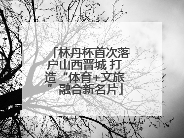 林丹杯首次落户山西晋城 打造“体育+文旅”融合新名片