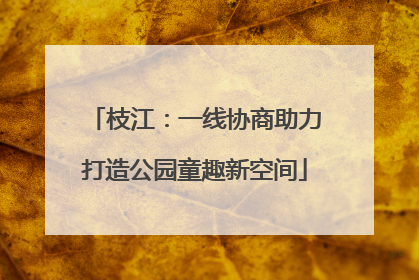 枝江：一线协商助力打造公园童趣新空间
