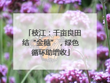 枝江：千亩良田结“金穗”，绿色循环助增收