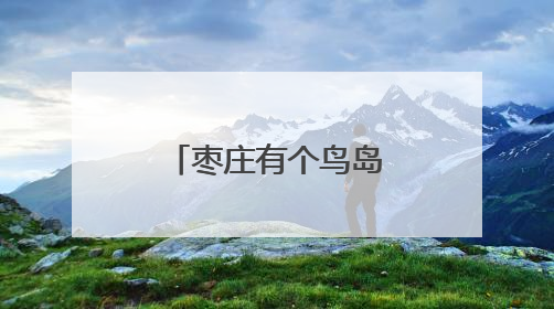 枣庄有个鸟岛，白鹭成群！