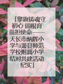 擎旗铸魂守初心 固根育苗担使命——天长市炳辉小学与萧县师范学校附属小学结对共建活动纪实