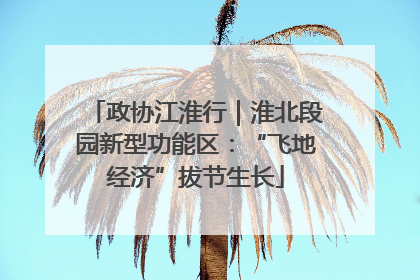 政协江淮行｜淮北段园新型功能区：“飞地经济”拔节生长