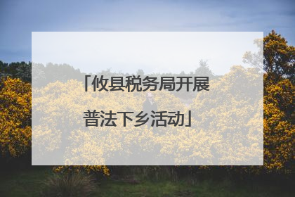 攸县税务局开展普法下乡活动