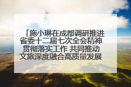 施小琳在成都调研推进省委十二届七次全会精神贯彻落实工作 共同推动文旅深度融合高质量发展 加快打造支柱产业民生产业幸福产业