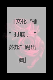 文化“梗”打底，“苏超”踢出圈