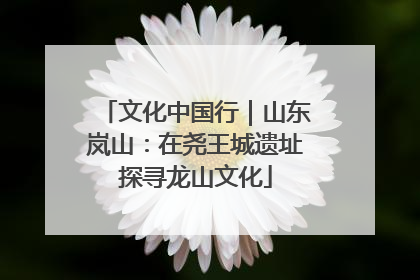 文化中国行｜山东岚山：在尧王城遗址探寻龙山文化