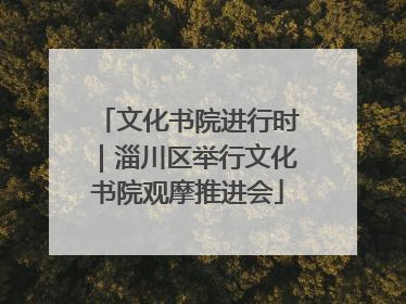 文化书院进行时｜淄川区举行文化书院观摩推进会