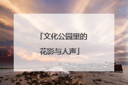 文化公园里的花影与人声